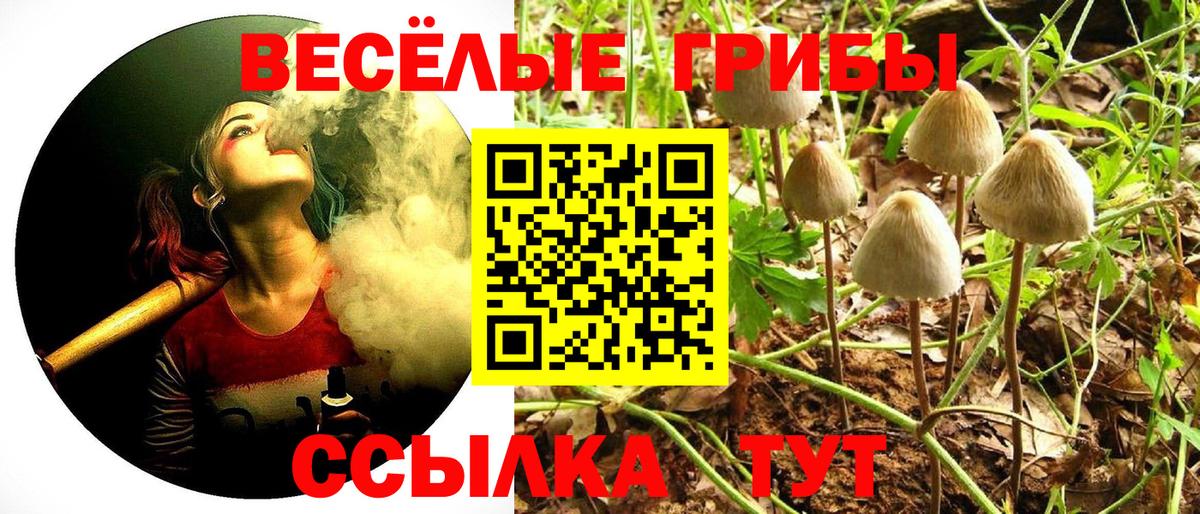 Галлюциногенные грибы Magic Shrooms Краснодар