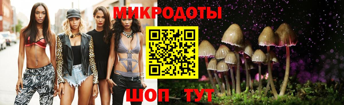 Краснодар  Псилоцибиновые грибы прущие грибы  Вход с VPN  Псилоцибиновые грибы GOLDEN TEACHER 